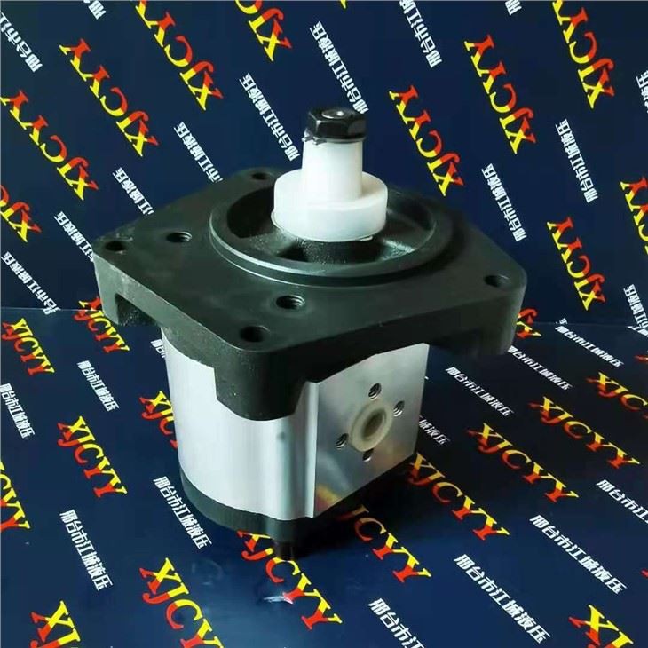 Case Tractor Pump 704330R95