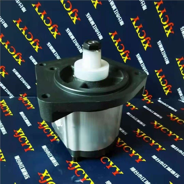 Case Tractor Pump 704330R95