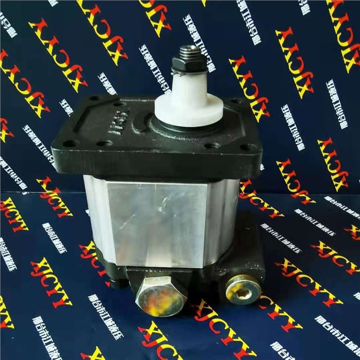 Hydraulic Gear Pump for Fiat
