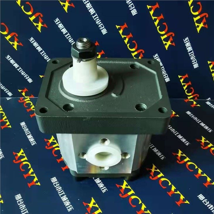 Hydraulic Tractor Pump for Fiat
